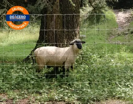 Producto de Cercocentro