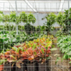 Imagen de Panel Agro DEACERO®
