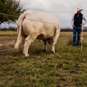 Alambre para Cerco Eléctrico
